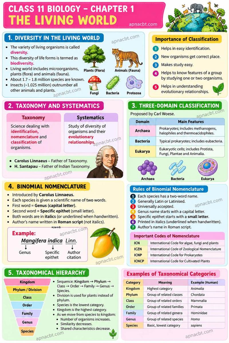 Chapter 01 The Living World mind map