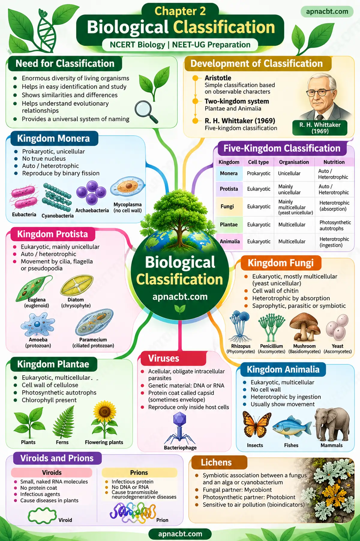 Biological Classification mind map - ApnaCBT